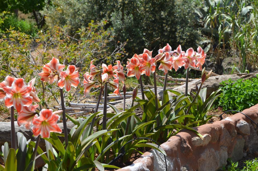 Las Casas De La Rueda - La Casita Santa Lucia 客房 照片